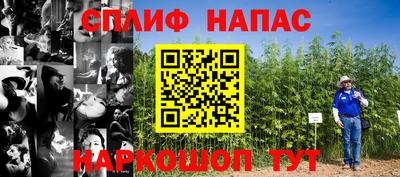 ГАЛЛЮЦИНОГЕННЫЕ ГРИБЫ Ливны