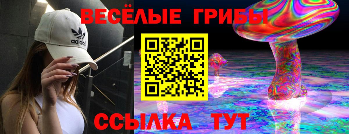 Галлюциногенные грибы Psilocybe  Вход с VPN  Егорьевск  Псилоцибиновые грибы Psilocybine cubensis 
